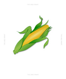 Corn Canvas Print